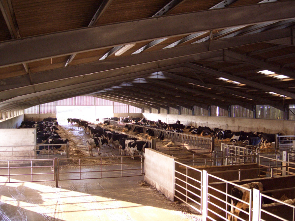 Blackmore Farm Dairy